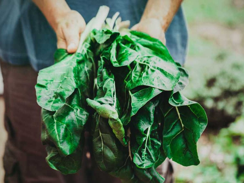 Make an investment in your health