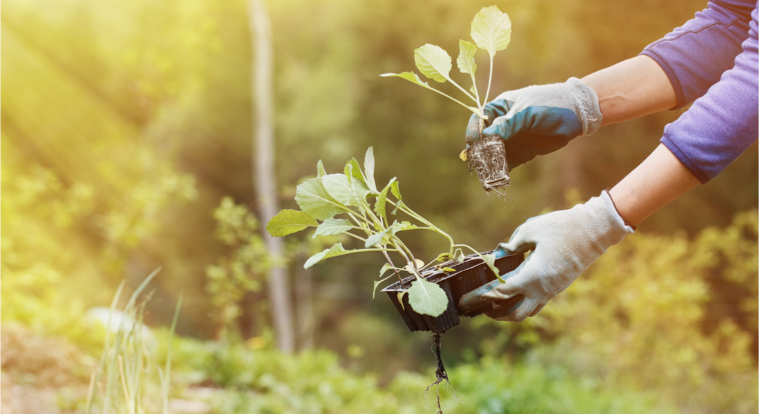 Are you eating enough Mother Nature?