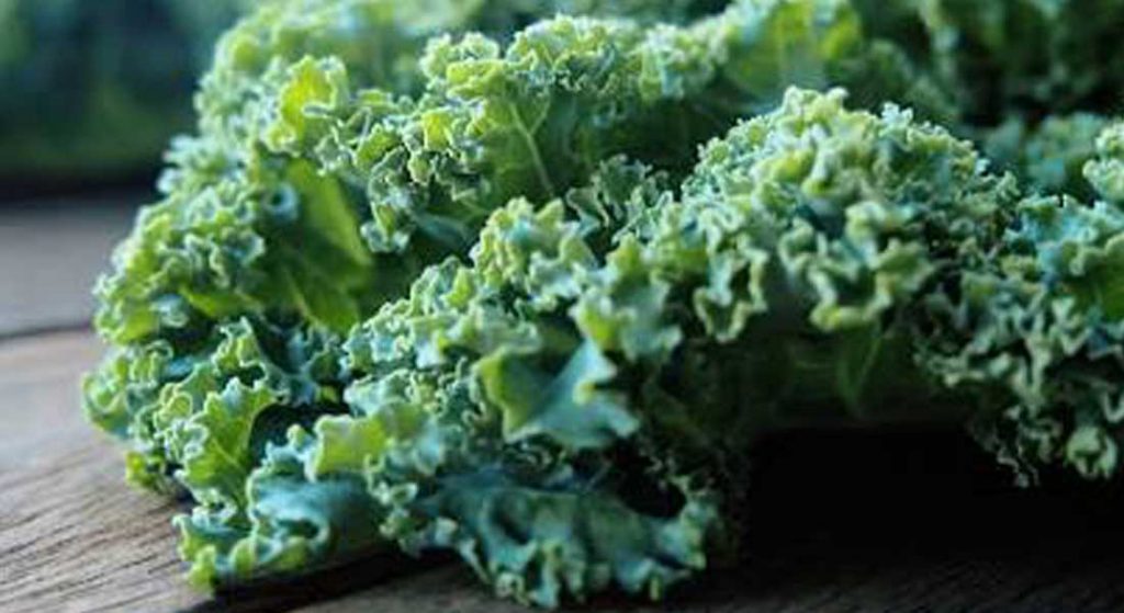 The benefits of Magnesium Planted Life