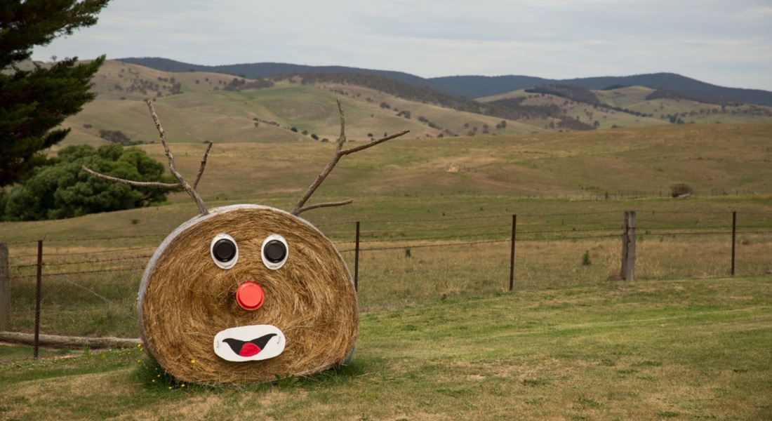 HELP! A Planter is coming for Christmas