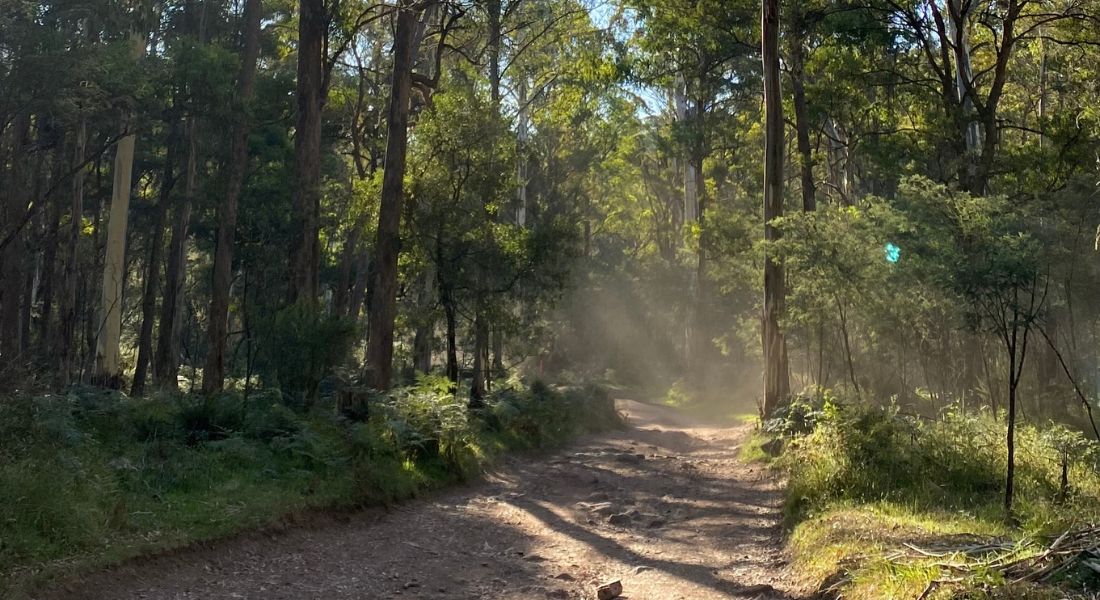 Navigating trust as a runner