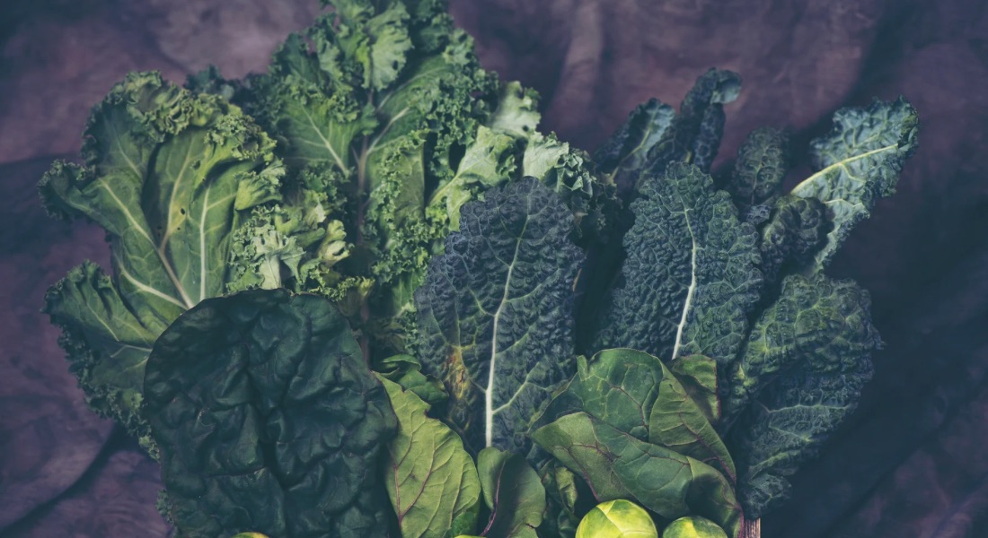 A healthier you through plant-based living