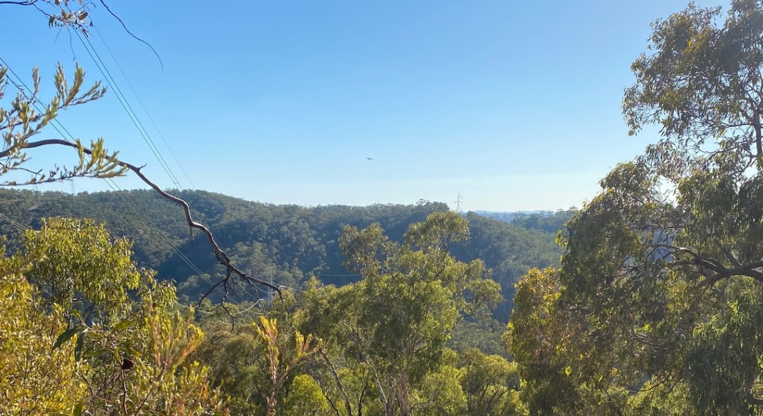 How to run Five Peaks Trail Run