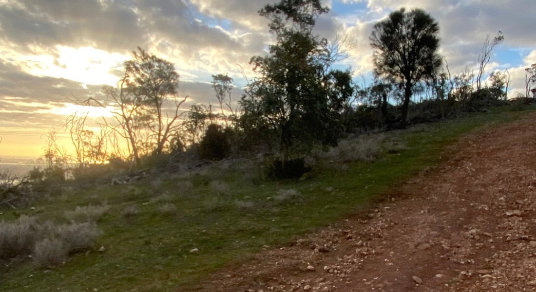 Race Report | Ultra Adelaide