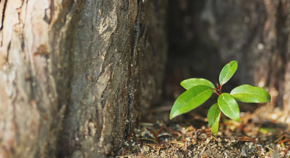 Beyond the Years: Running Mindset